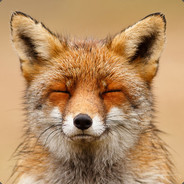 Profile icon