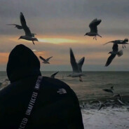 请允许我成为你的夏季