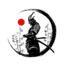 MSR_izumi