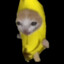 Banana Cat