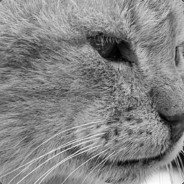 今天我想早点睡