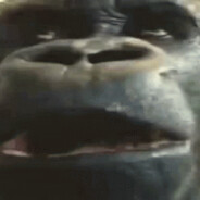 DGKmOnKe