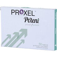 Proxel Potent - steam id 76561197960295534