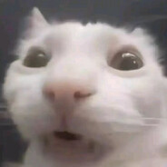 游☆戏☆王！不好玩【