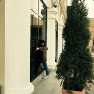 你是我的小太阳吗