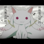 绅士猫