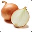 POLISH ONION