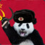 Soviet_Panda