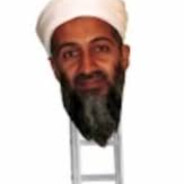 Osama Bin Ladder