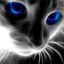 El Gato