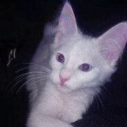 最是今夜浓愁未到乡