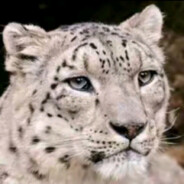 快跑ta有双重人格