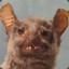 Munkey