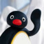 noot noot