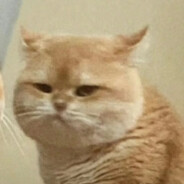 东北雨姐50码大脚带派煮交