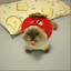 miau