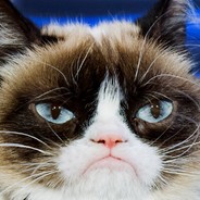 求求你们了别杀我了