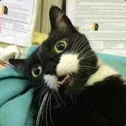 我想要蛙哥的丝袜