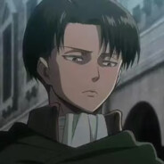 Levi