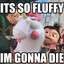 So FLUFFY I&#039;m Gonna Die..