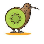 KiwiTheBird