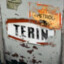 TERIN