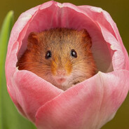 Florral