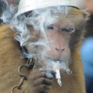 孤独的马喽12138