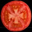 Tomato cross