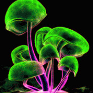 ♙♜♘♝♕♚♗♞♖♟