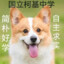 柯基有什么错呢