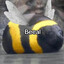 beeal