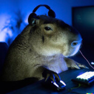 Capybara Gaming