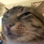 ᴋʀᴢʏᴄʜᴜᴜᴜ_✓