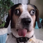 待金秋雨落旱逢甘