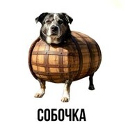Ваня avatar