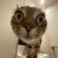 //LOGIN PASSWORD./10.LVLFACE.IT/