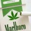Marlbro