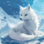 Snow Fox