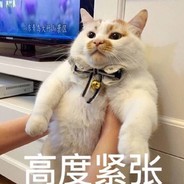 FFF团团长妖姐(非本人)