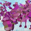 Avatar of FIGHTING POLYGON TEAM