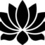 BLACK-LOTUS