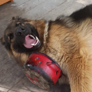 BudyńPolskaOfficial2001 VEVO