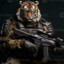 Tiger02