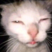 UwU - ❤️ 0. - steam id 76561199849073160