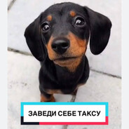 Cheburashka-God