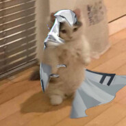 Mouz - steam id 76561198846947475