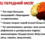 мозг ил сигма мью