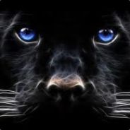 PaulvanPanther