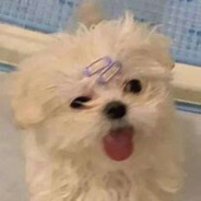 厨房打工一个月倒欠250